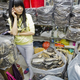 The estimated volume of dried mobulid gills killed for the Guangzhou markets in 2013 represents approximately 147,000 individual animals.